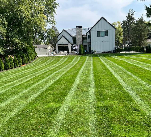 lous lawncare gallery